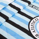 Cubre-Belgrano-lineas-det2