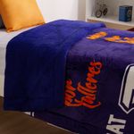 Borrego_futbol_Talleres_Twin_Det_1_1000