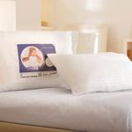 ALMOHADA_PLATA_1000