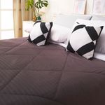 Cubre_Lexus_Full_Degradee_4_1000
