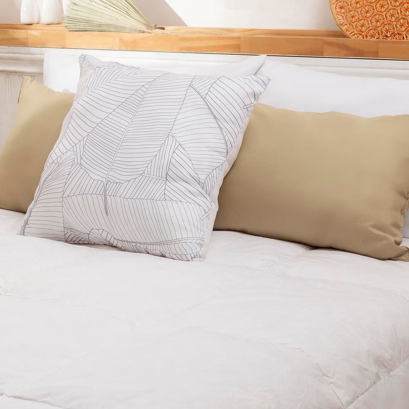 AC_PLUMAS_ORO_FULL_BLANCO_2